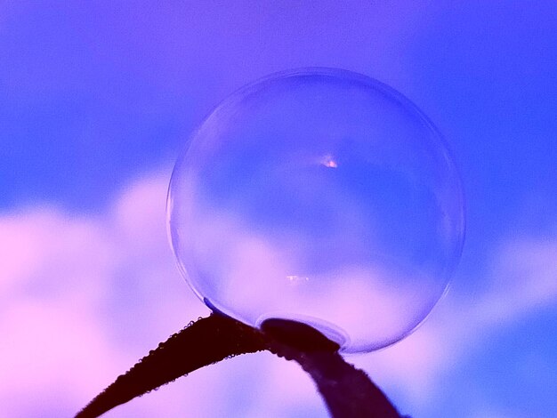 Low angle view of bubbles against sky