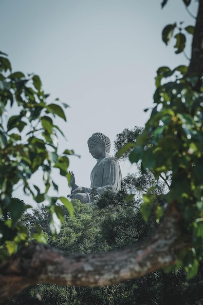 Photo low angle view of buddha statue against clear sky