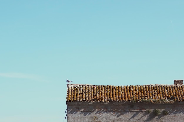 Foto vista ad angolo basso dell'edificio contro il cielo blu