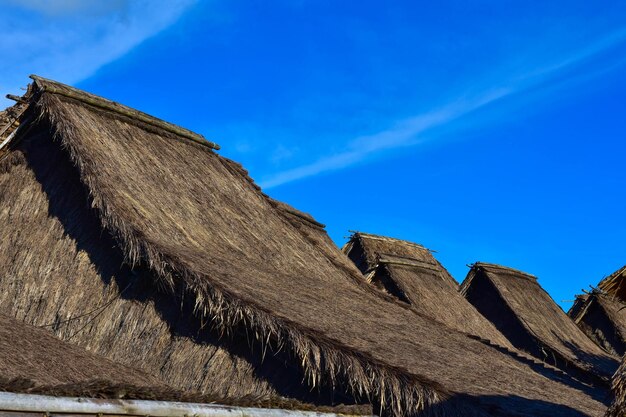 Low angle view of building against blue sky