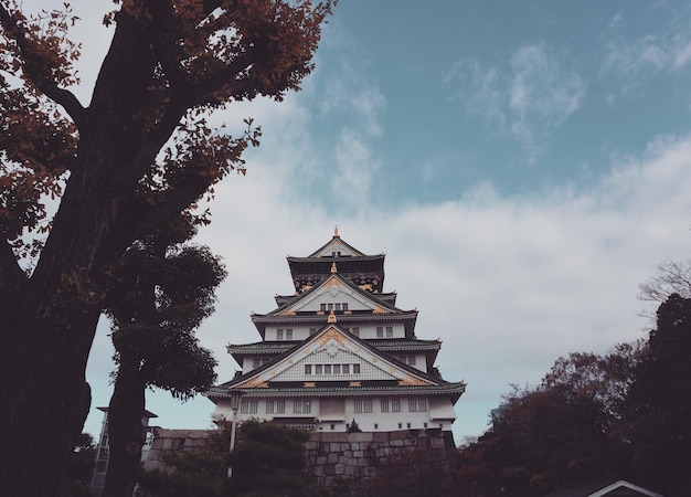 雲の空に照らされた建物の低角度の景色