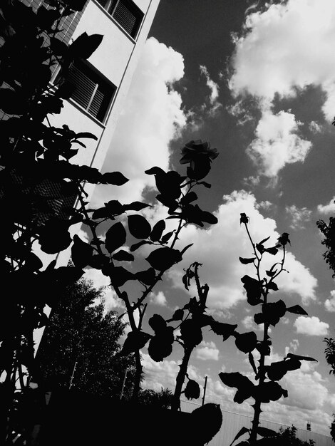 Foto vista a bassa angolazione dell'edificio contro un cielo nuvoloso