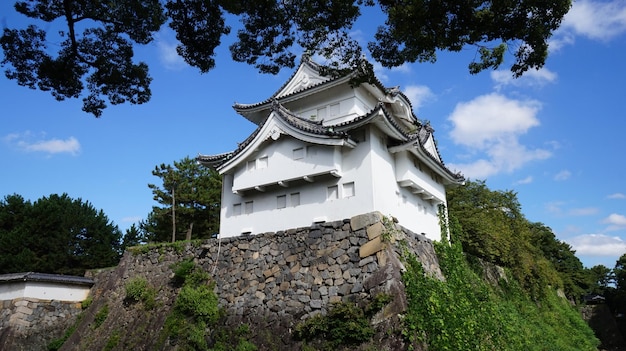 空に照らされた建物の低角度の景色