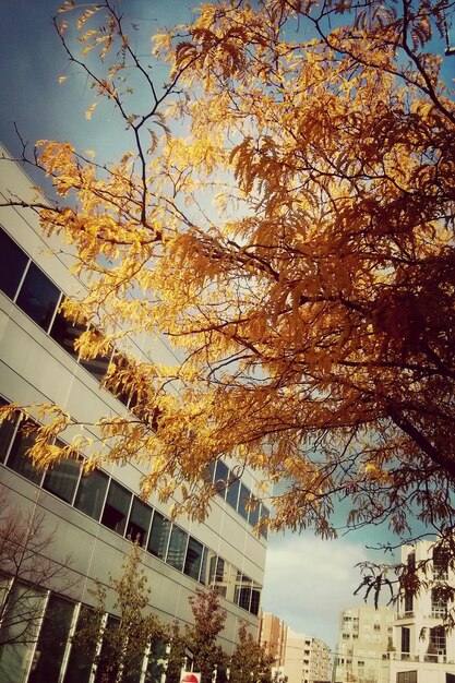 Low angle view of building against sky