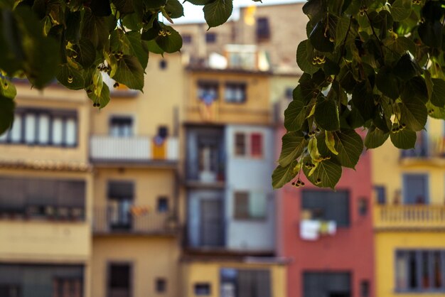 Photo low angle view of building in city