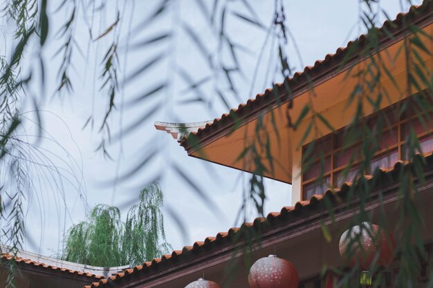 Low angle view of building and plants