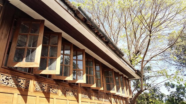 Photo low angle view of building and tree