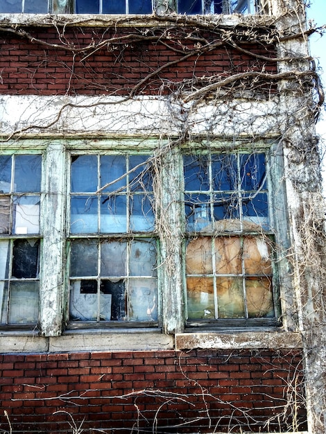 Photo low angle view of building