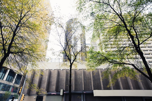 Foto vista dell'edificio ad angolo basso