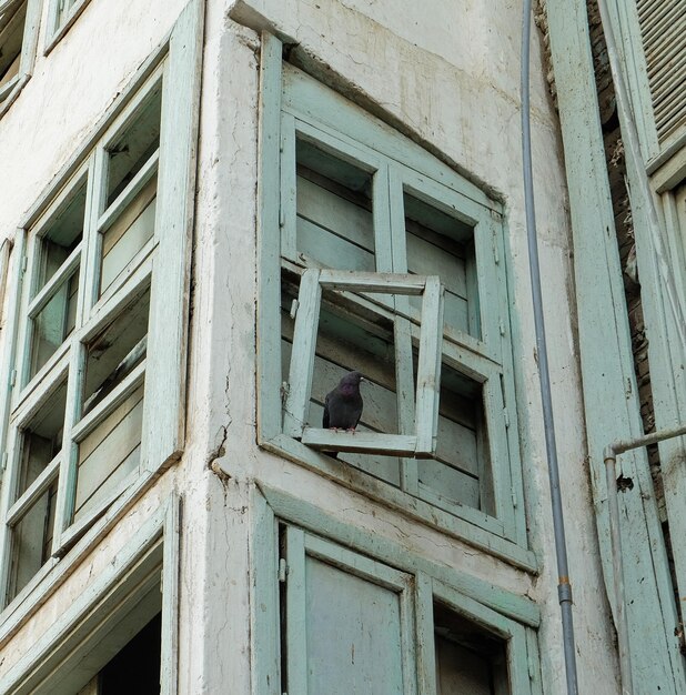 Photo low angle view of a building