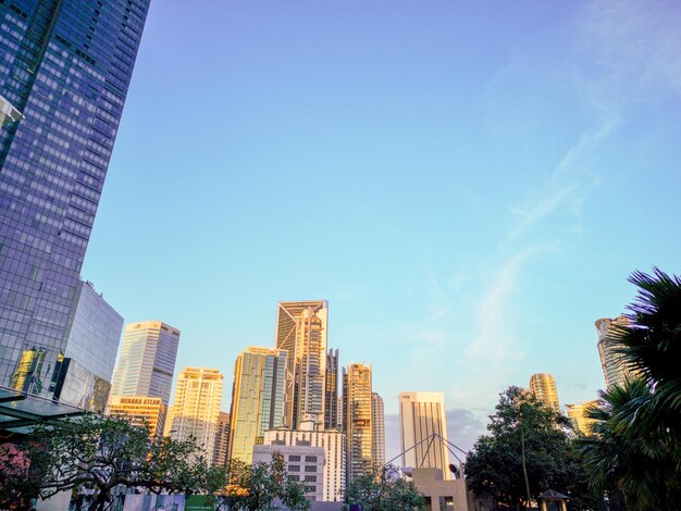 明るい青い空を背景にした建物の低角度の景色