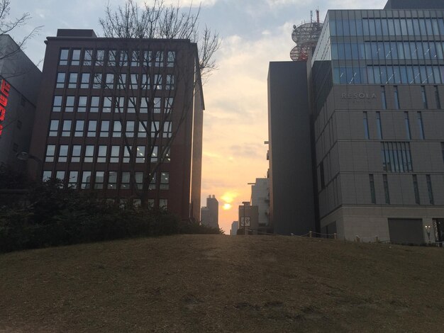 Foto vista ad angolo basso degli edifici