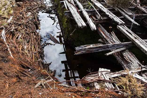 Photo low angle view of built structure