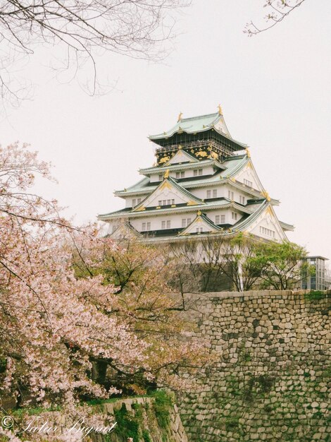 建設された構造物の低角度の視点