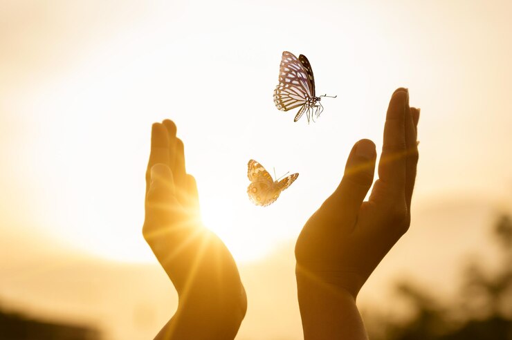 Photo low angle view of butterfly on hand against sky during sunset