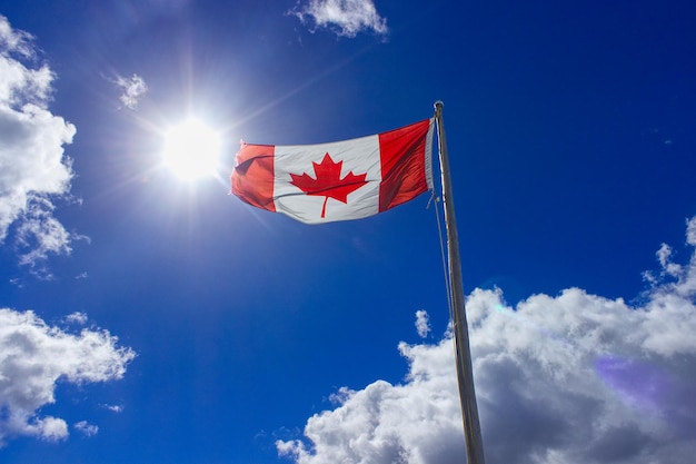 Foto vista a bassa angolazione della bandiera canadese contro il cielo blu