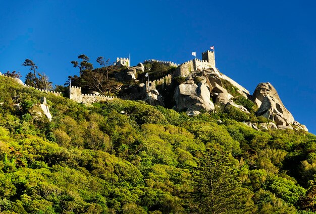 Foto vista a basso angolo del castello contro un cielo blu limpido