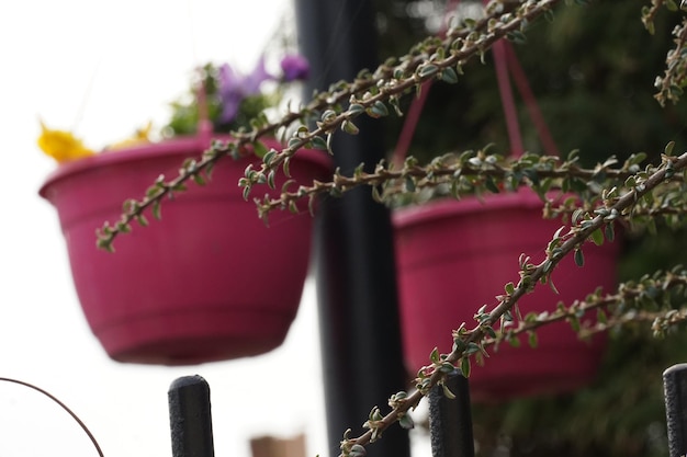 Low angle view of chain hanging on metal