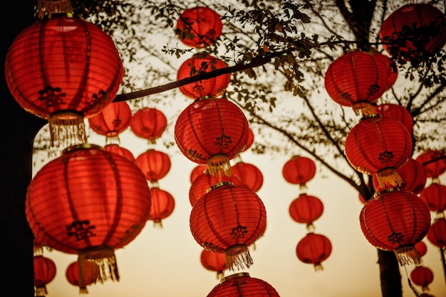 木に吊るされた中国のランタンを低角度で眺める