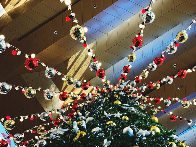 Foto vista ad angolo basso dell'albero di natale