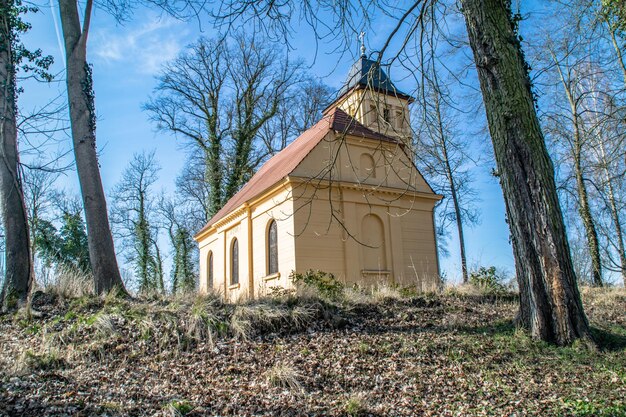 Low angle view of church against blue sky