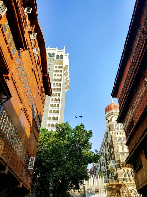 Low angle view of city against clear sky