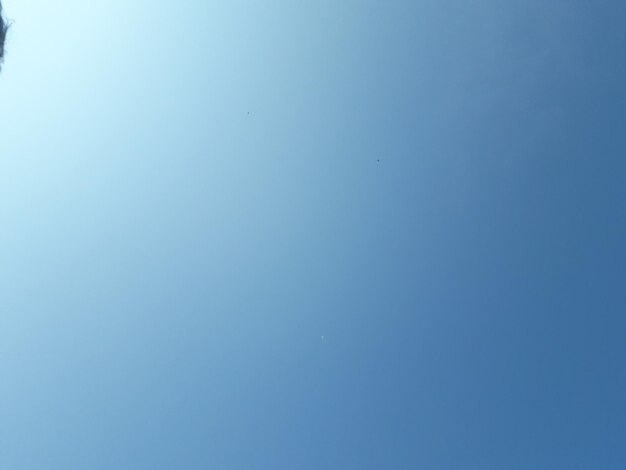 Low angle view of a clear sky