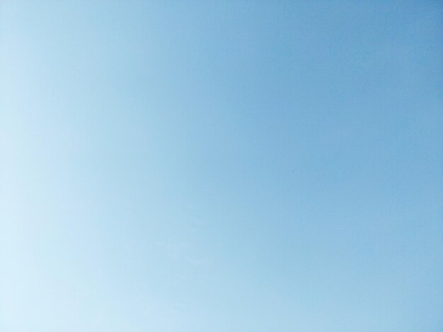 晴れた空の低角度の眺め
