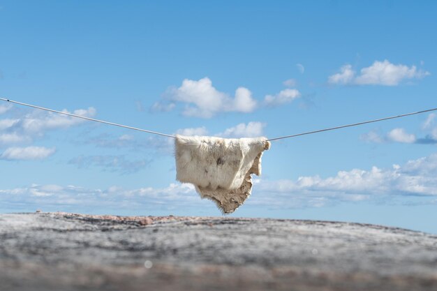 Low angle view of clothespins on clothesline against sky