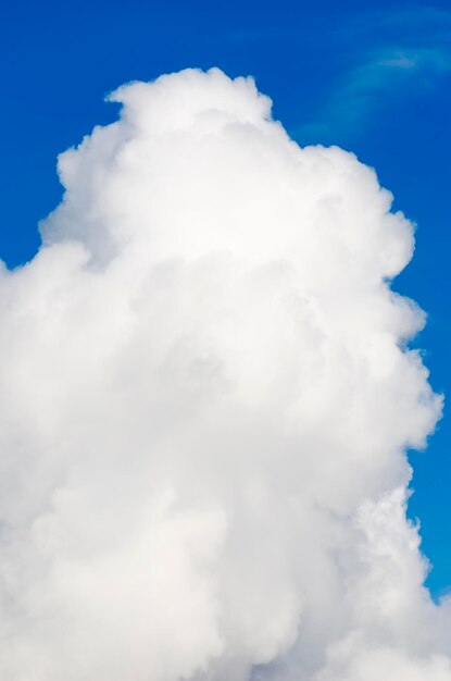 Foto vista a basso angolo delle nuvole nel cielo blu