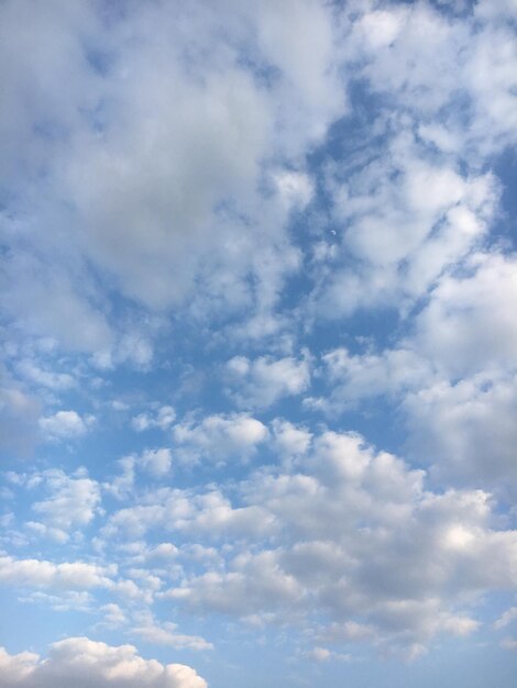 空の雲の低角度のビュー