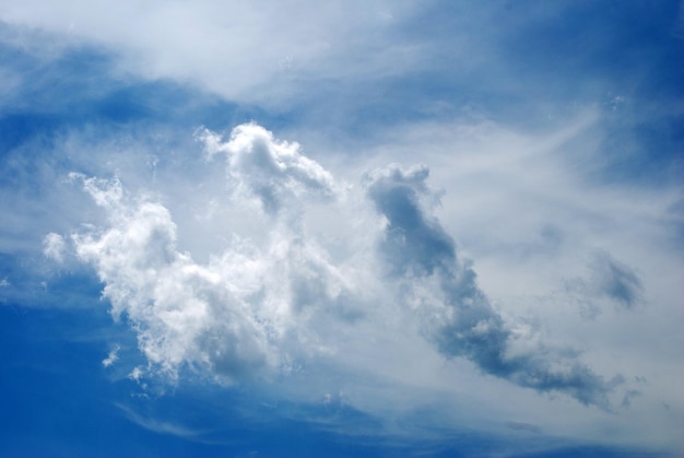 Foto vista a basso angolo delle nuvole nel cielo