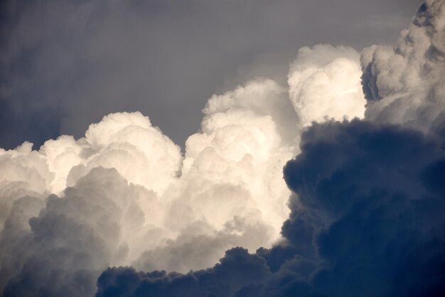 空の雲の低角度のビュー