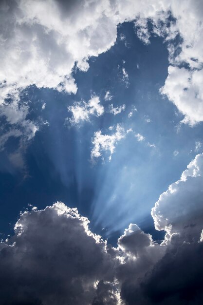 空の雲の低角度のビュー