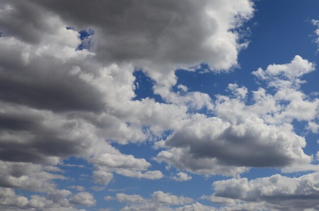 空の雲の低角度のビュー