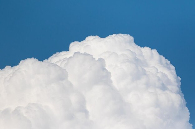 Foto vista a basso angolo delle nuvole nel cielo