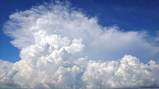 Foto vista a basso angolo delle nuvole nel cielo