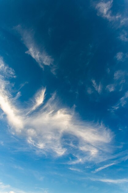 空の雲の低角度のビュー