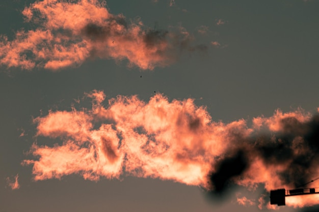 空の雲の低角度の眺め