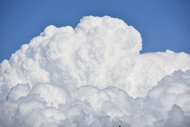 Foto vista a basso angolo del paesaggio nuvoloso contro il cielo