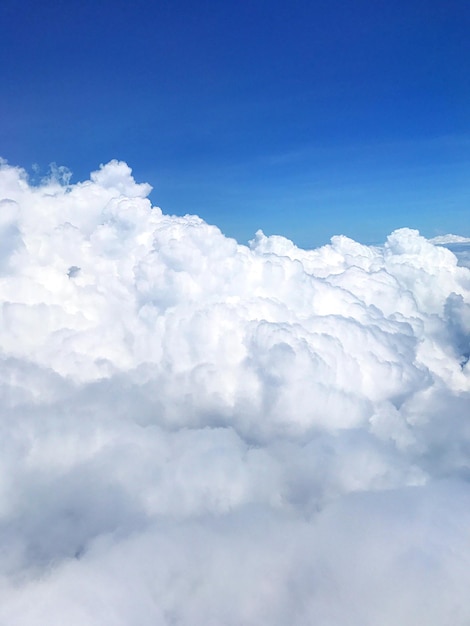 雲の景色の低角度の眺め