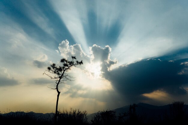 Photo low angle view of cloudy sky at sunset