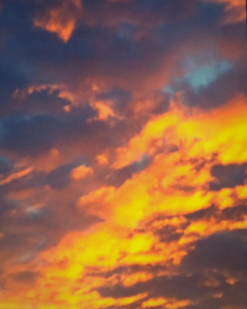 Foto vista a basso angolo del cielo nuvoloso al tramonto.