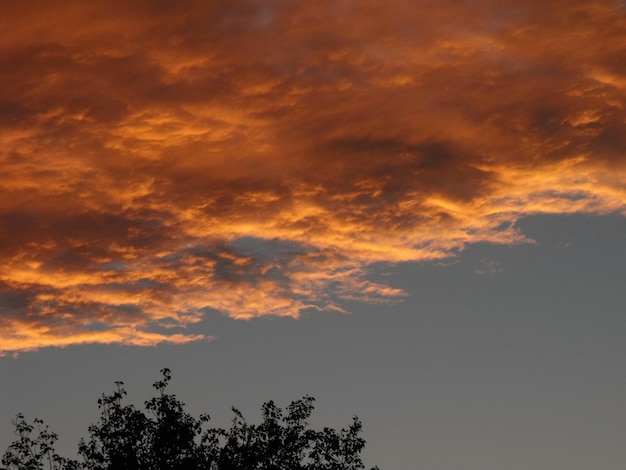 Foto vista a basso angolo del cielo nuvoloso