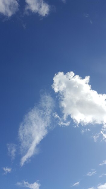 った空の低角度の視点