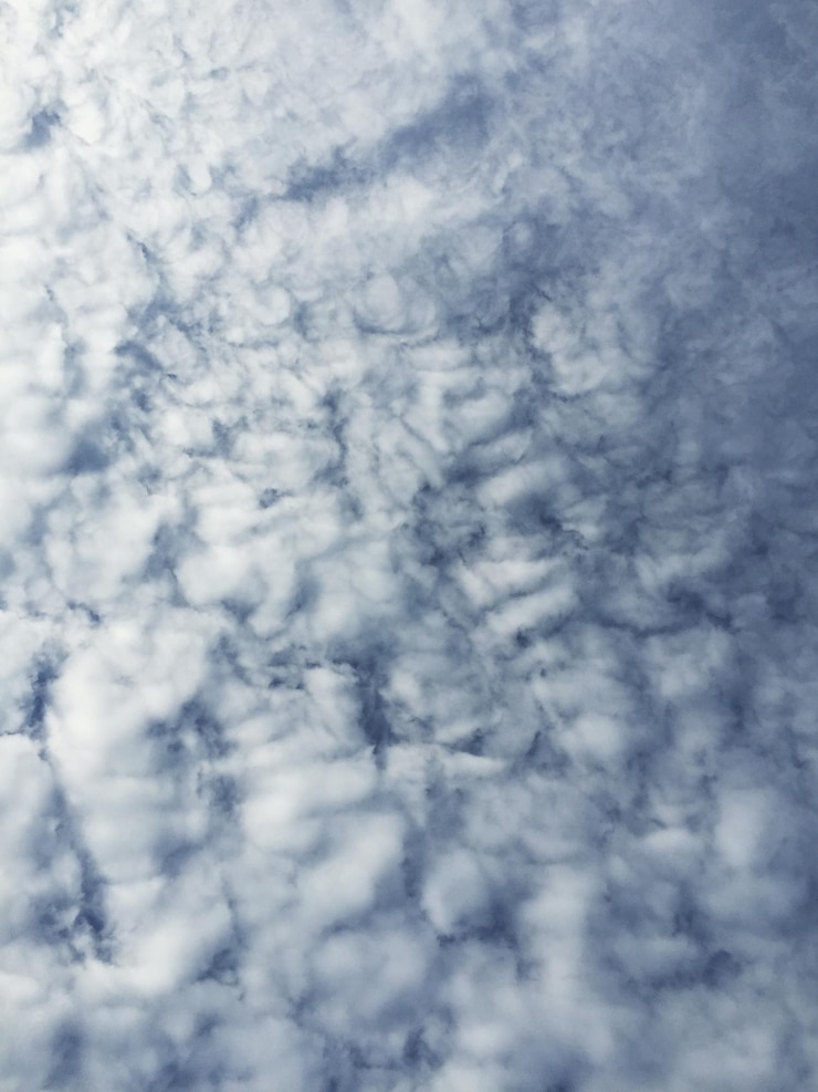 Photo った空の低角度の視点
