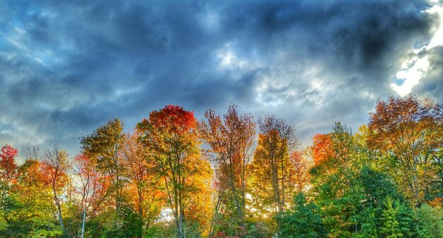 Photo low angle view of cloudy sky