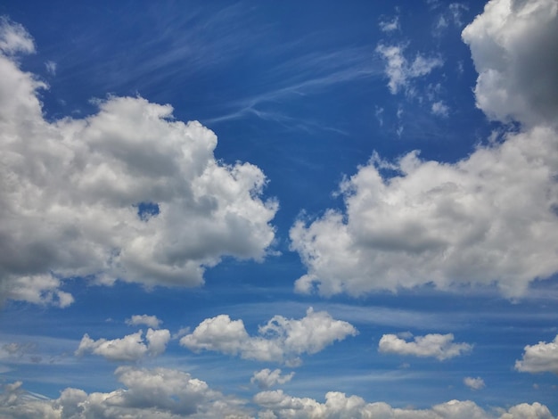 った空の低角度の視点