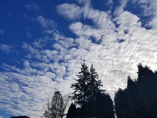 Low angle view of cloudy sky