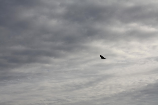 Photo low angle view of cloudy sky